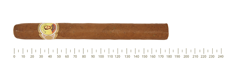 Bolivar Coronas Gigantes  25 Cigars