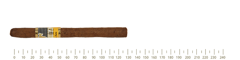 Cohiba Panetelas 5 Cigars