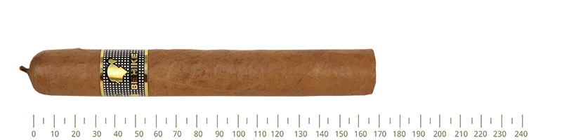 Cohiba  BHK 56  10 Cigars