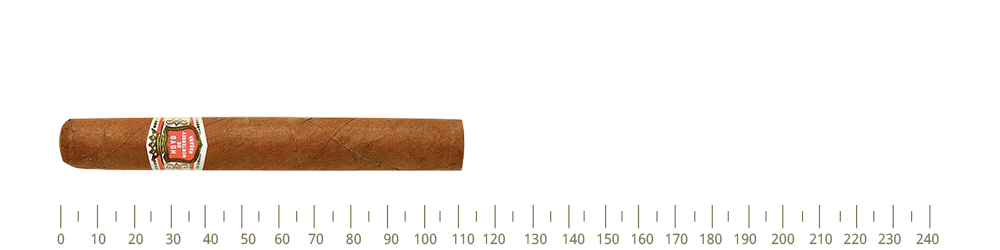HDM Le Hoyo Du Depute Slb 25 Cigars