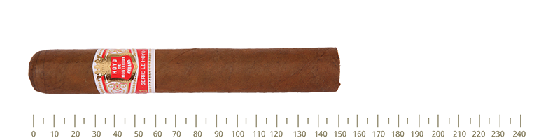 HDM Le Hoyo De San Juan 10 Cigars