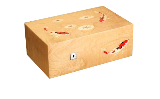 KOI FISH HUMIDOR 75C