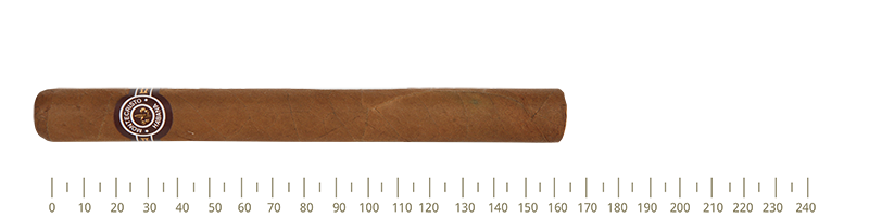 Montecristo Montecristo No.1 10 Cigars