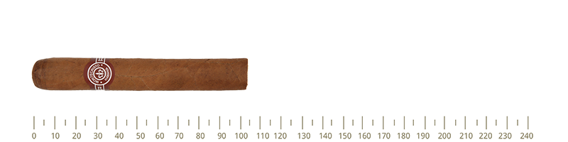 Montecristo Montecristo No.5 25 Cigars