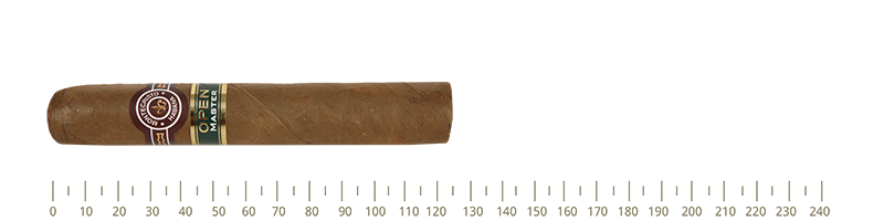 Montecristo Master 20 Cigars