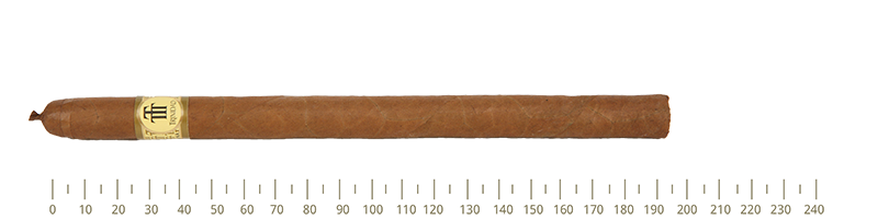 Trinidad Fundadores  Sbn-B 24 Cigars