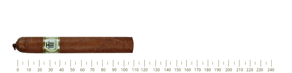 Trinidad Reyes Sbn-B 12 Cigars