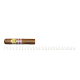 Bolivar Byblos 25 Cigars (RE16)