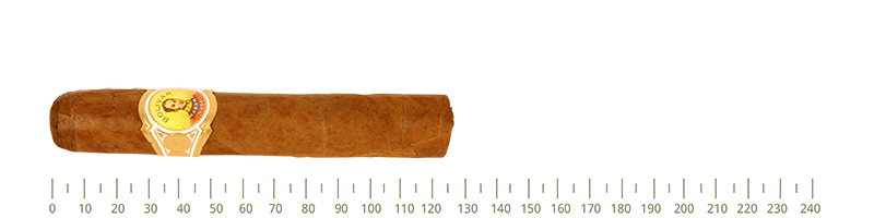 Vinatge Bolivar Royal Coronas 25 Cigars  From Year 2012