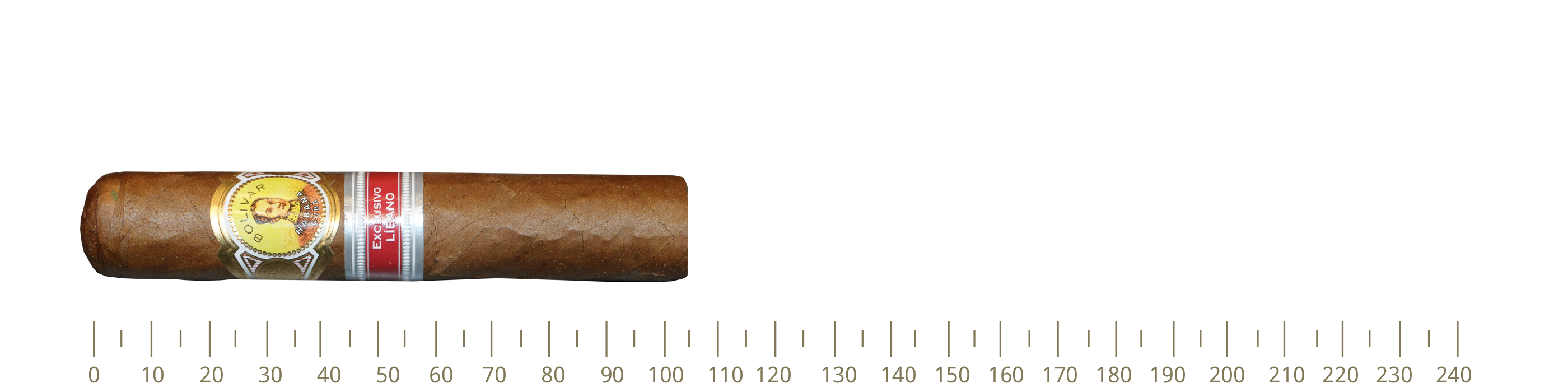 Bolivar Byblos 25 Cigars (RE16)