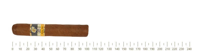 Combinaciones Seleccion Petit Robustos 10 Cigars