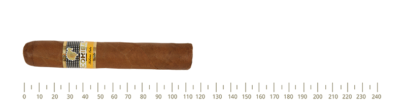 Cohiba Robustos  Slb 25 Cigars