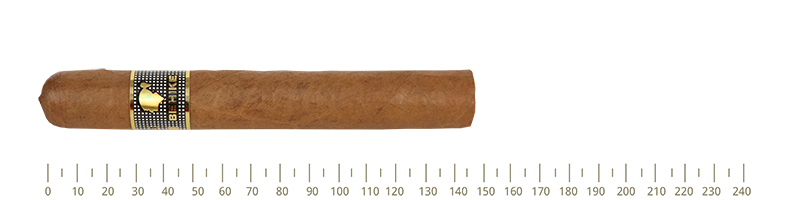 Cohiba  BHK 54  10 Cigars