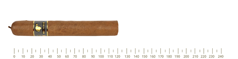 Cohiba  BHK 52   10 Cigars