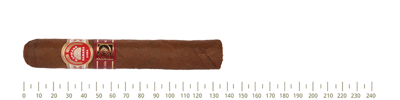 H.Upmann Royal Robusto 10 Cigars (LCH11)