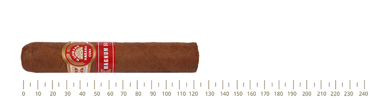 H.Upmann Magnum 54 10 Cigars