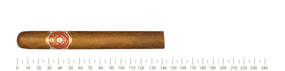 Punch Black Prince  25 Cigars
