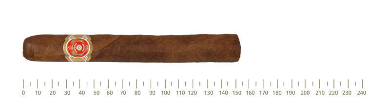 Punch Punch A/T 10 Cigars