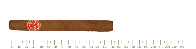 Quintero Nacionales  25 Cigars
