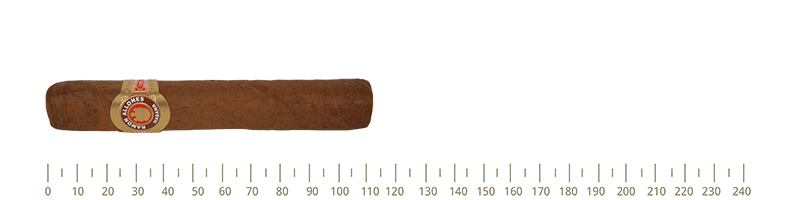Vintage Ramon Allones Small Club Coronas 25 Cigars From Year  2012