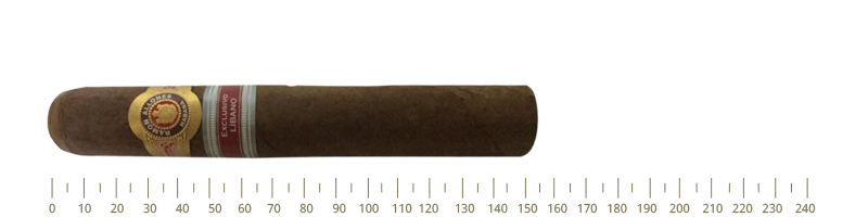 Ramon Allones Sidon Bn 25 Cigars(RE13)